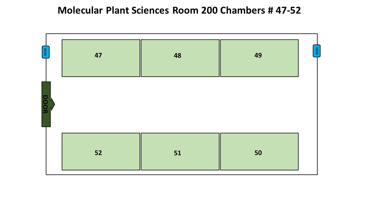 A Chamber of room 200 of the Molecular Plant Sciences Building, part of the Michigan State University Growth Chamber Facility